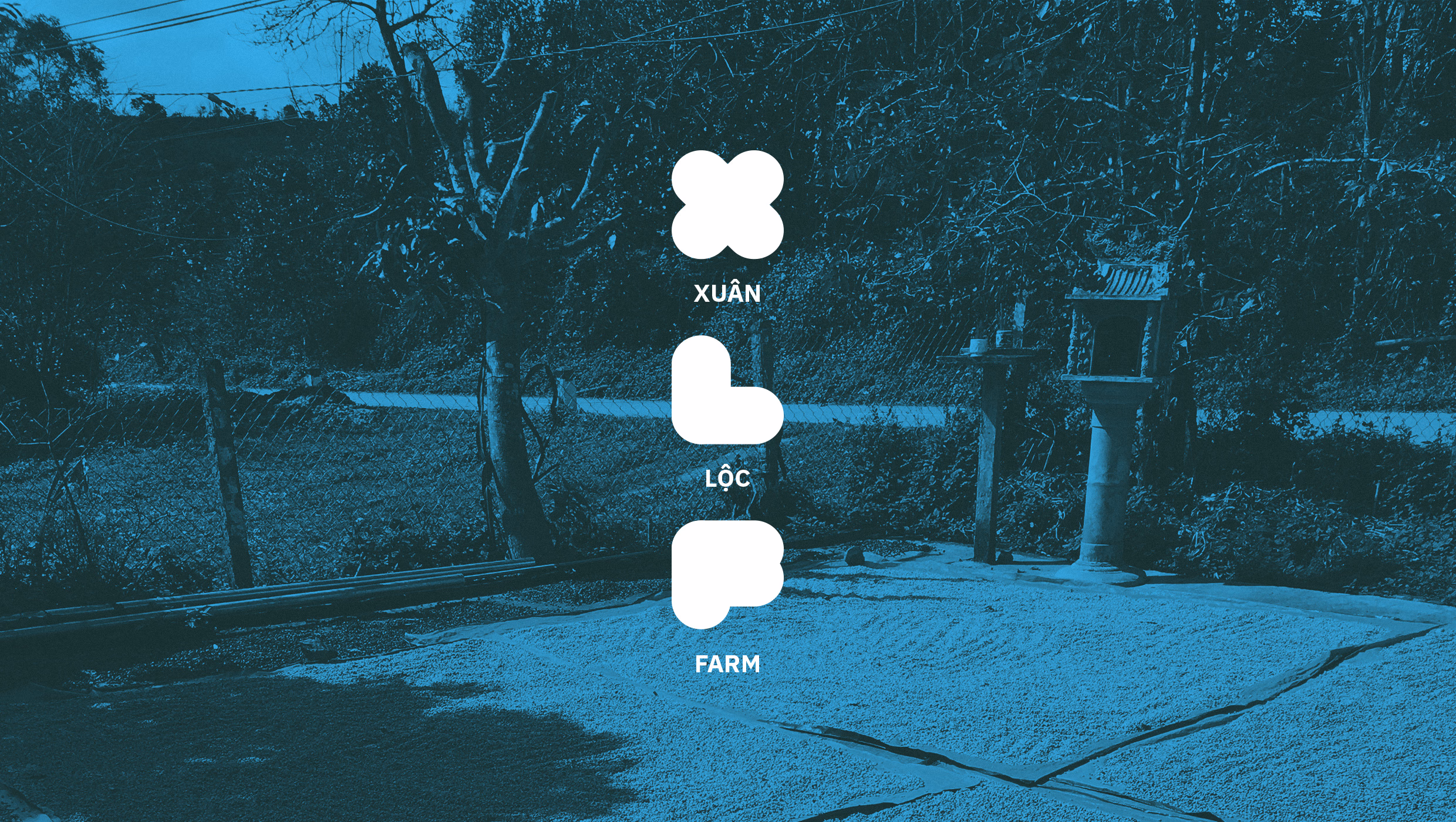 Thumbnail for Xuan Loc Farm - Cultivating an Authentic Brand Identity for Vietnamese Agriculture